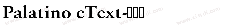Palatino eText字体转换 Palatino eText字体转换